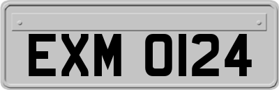 EXM0124