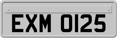 EXM0125
