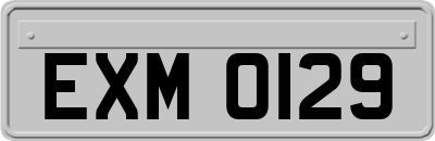 EXM0129