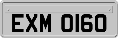 EXM0160