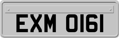 EXM0161