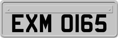 EXM0165