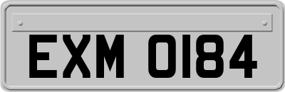 EXM0184