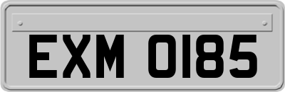 EXM0185