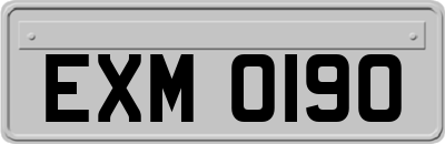 EXM0190
