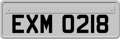 EXM0218