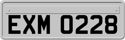 EXM0228