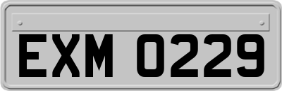 EXM0229