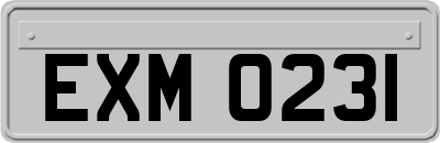 EXM0231