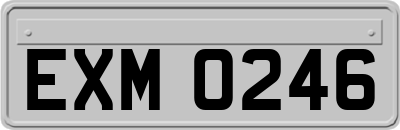 EXM0246