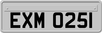 EXM0251