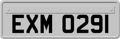 EXM0291