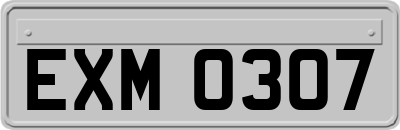 EXM0307