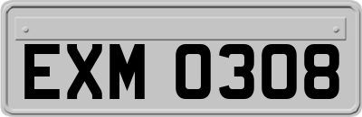 EXM0308