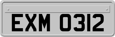 EXM0312