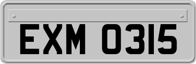 EXM0315