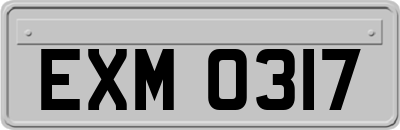EXM0317