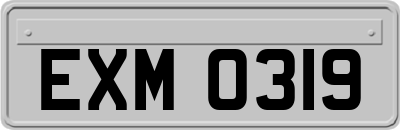 EXM0319