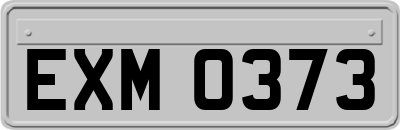 EXM0373