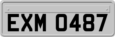 EXM0487