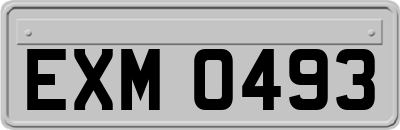 EXM0493
