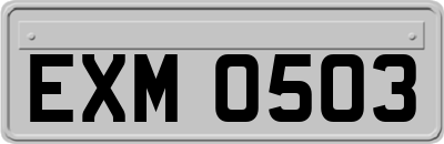 EXM0503