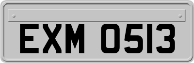 EXM0513