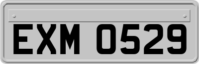 EXM0529