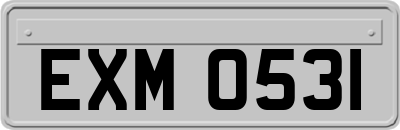 EXM0531