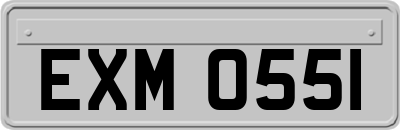 EXM0551