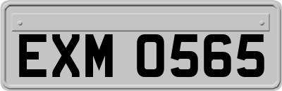EXM0565