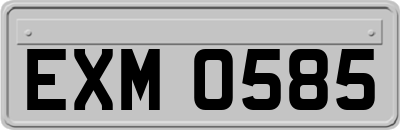 EXM0585
