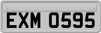 EXM0595