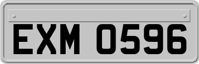 EXM0596