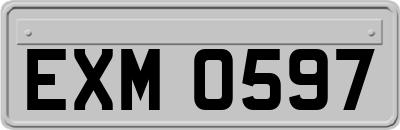 EXM0597