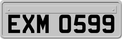 EXM0599