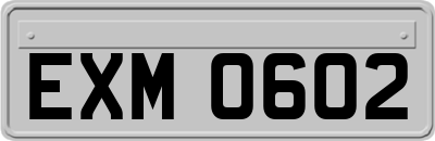 EXM0602