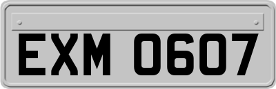 EXM0607