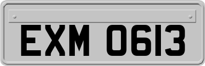 EXM0613