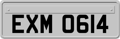 EXM0614