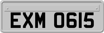 EXM0615