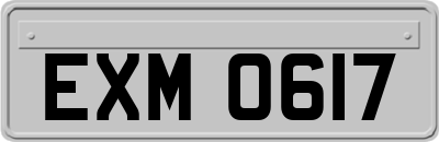 EXM0617