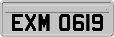 EXM0619