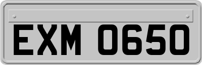 EXM0650