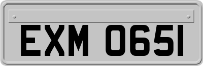 EXM0651