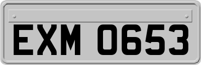 EXM0653