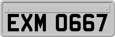 EXM0667