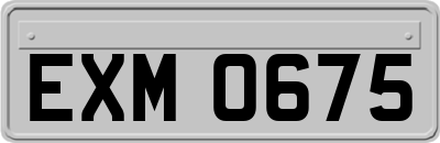 EXM0675