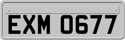EXM0677