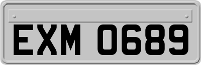 EXM0689